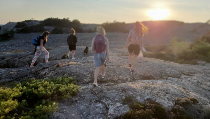 Sommarvandring på Kockholmen