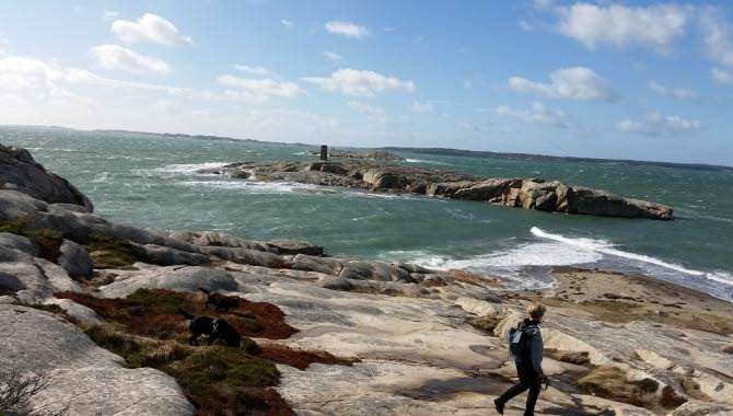 Saltö naturreservat