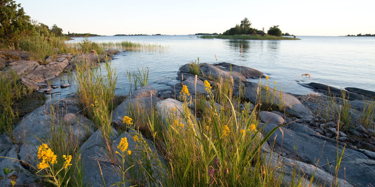 Vänern - Sveriges mest storslagna sjö