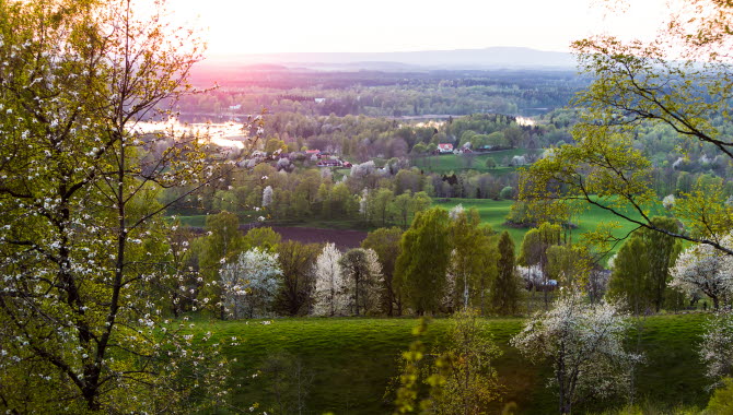 Utsikt över ett blommande Valleområde i solnedgång.