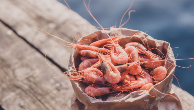 Shrimps