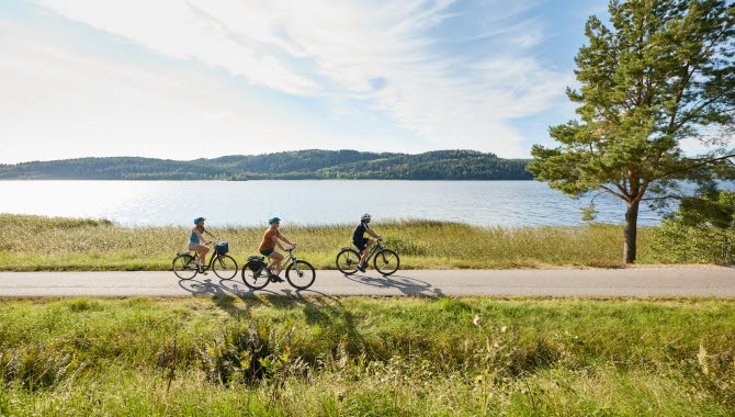 Friends on bikes