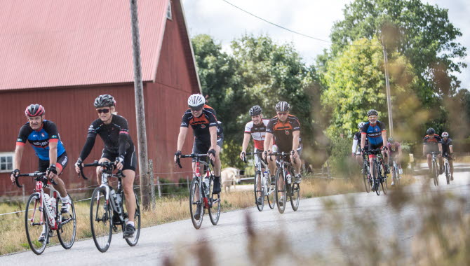 Velofondo