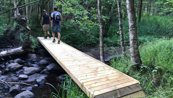 Två människor på rad i skogen på Lassalyckans 7 km långa trailbana.