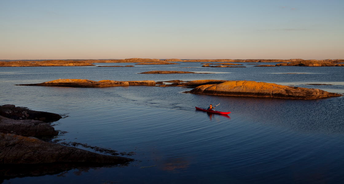 En röd kajak paddlar förbi ett skär i skymningen i Kosterhavet.