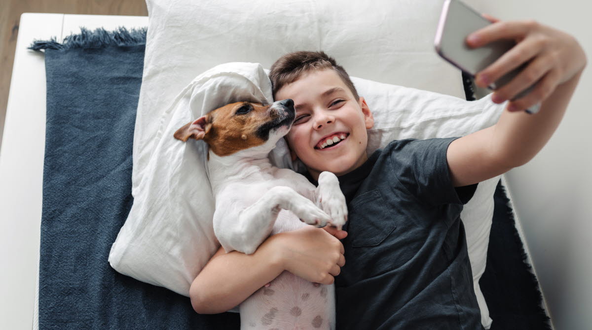En ung pojke med hund i mysig säng.