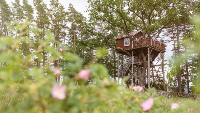 Röd liten stuga byggd uppe i ett träd.