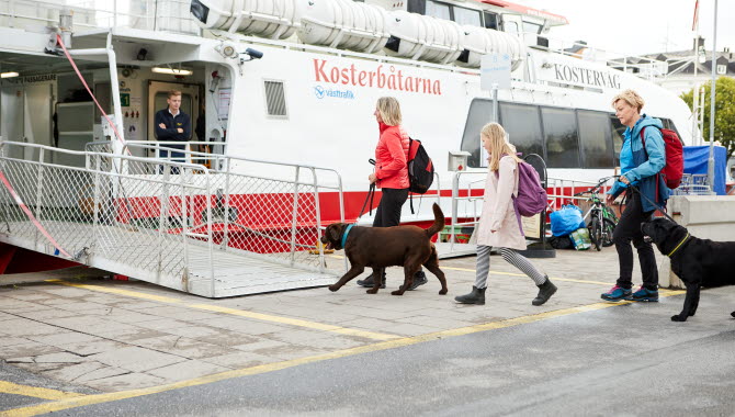 Kosterbåtarna