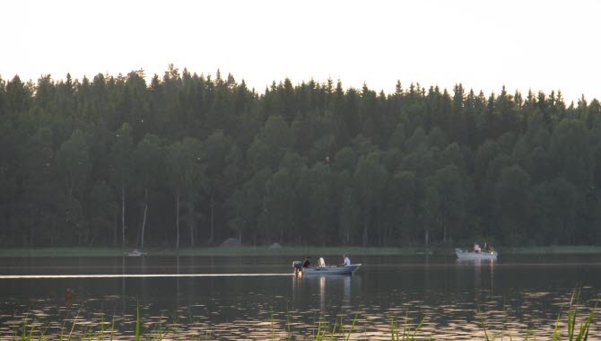 Båtar på stilla vatten under gösfisketävling i Lönern