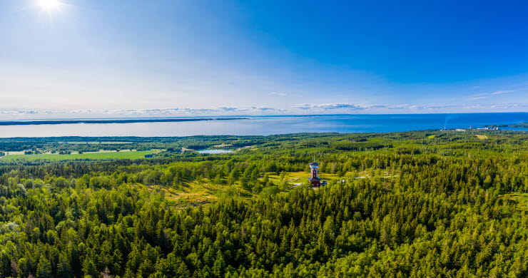 Flygbild över ett grönskande Kinnekulle med Vänern i bakgrunden. Man kan även skymta Kinnekulle utsiktstorn. 