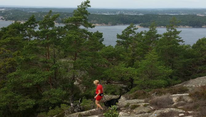 Halle Vagnaren naturreservat vid havet