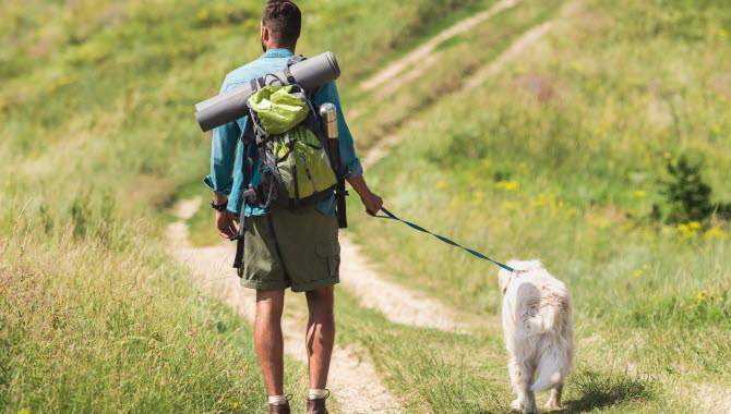 Man med ryggsäck som vandrar med en hund i koppel.