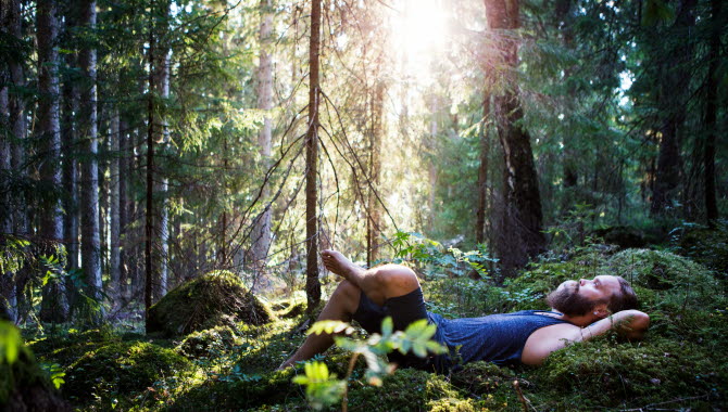 The nature of Dalsland