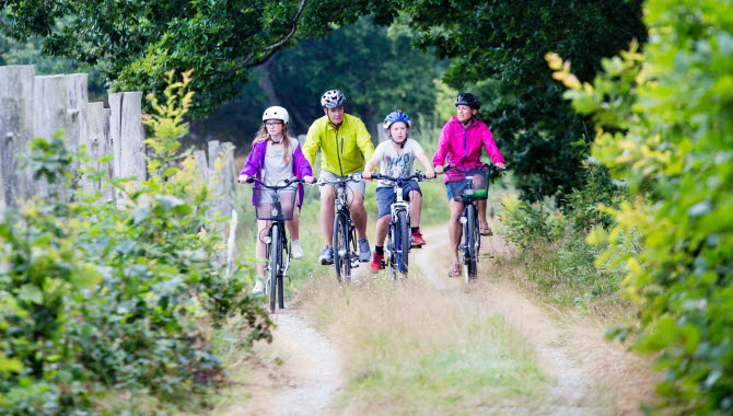 Family on bikes