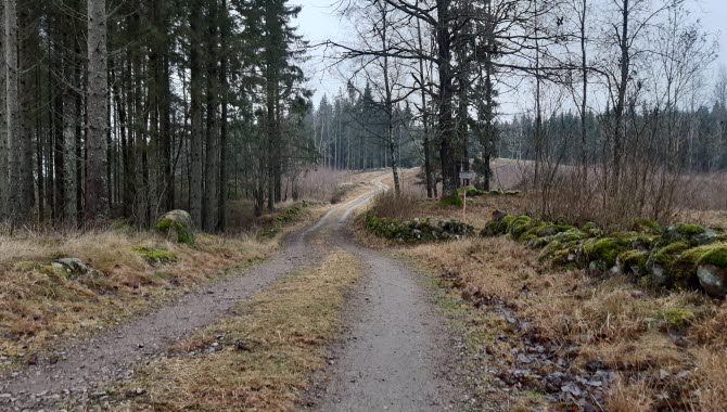 Grusväg med stenmur bredvid