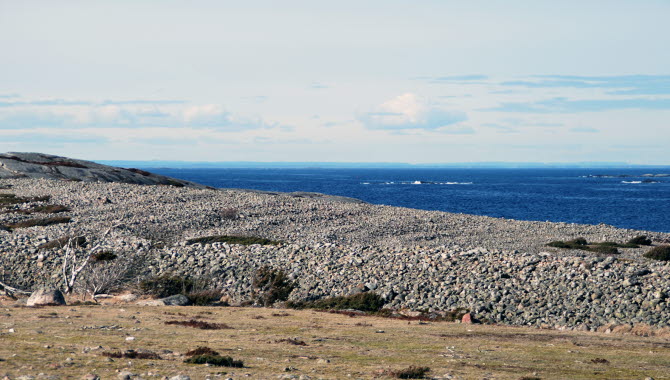 Shingle fields at North Koster