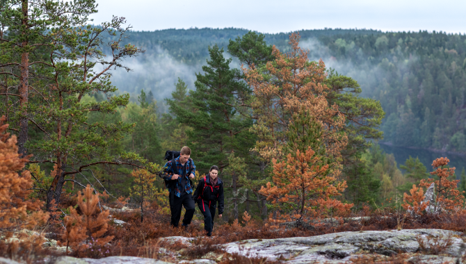 Walk in the nature of Dalsland