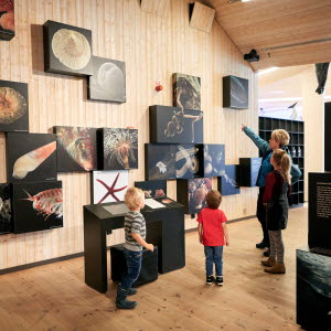 Naturum Kosterhavet