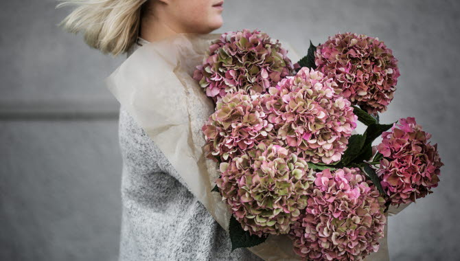 Tjej som håller flera rosa blomsterbuketter i famnen.