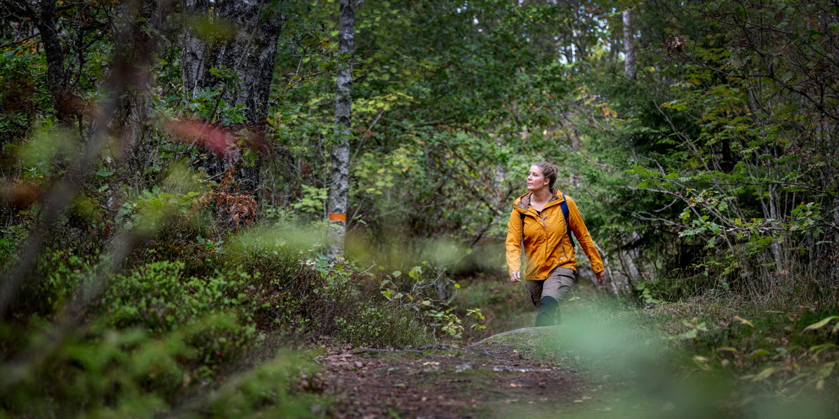 Tjej i gul jacka vandrar på en stig genom den gröna skogen.