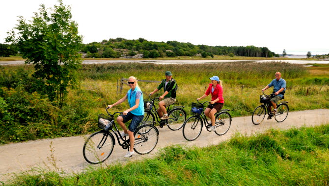 Fyra personer cyklar längst en grusväg på Sydkoster. Vägen kantas av gröna gräsängar.