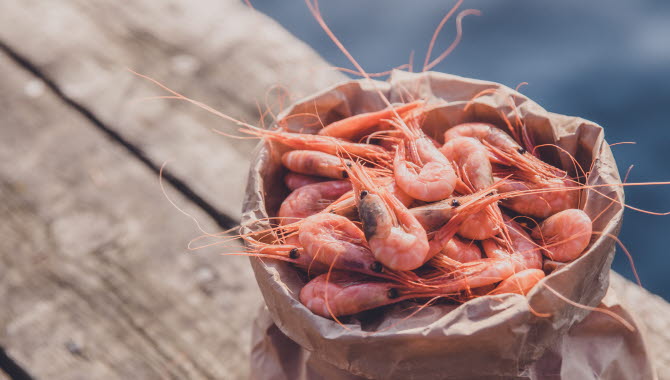 Shrimps