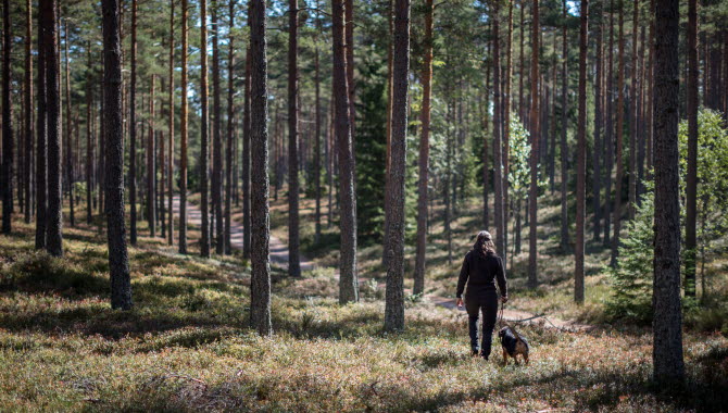 En tjej med hund vandrar i skogen på Hökensås
