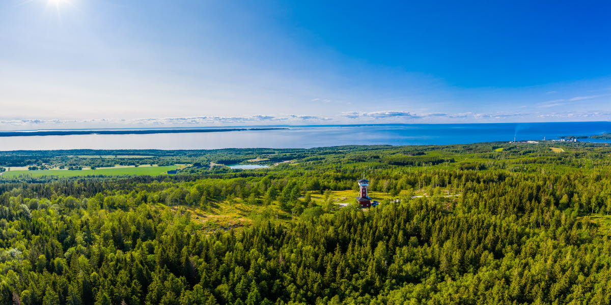 Flygbild över ett grönskande Kinnekulle med Vänern i bakgrunden. Man kan även skymta Kinnekulle utsiktstorn.
