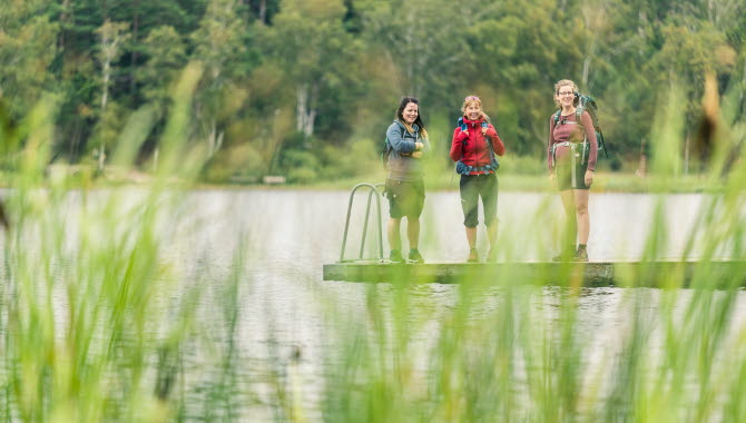 Hikers along Bohusleden