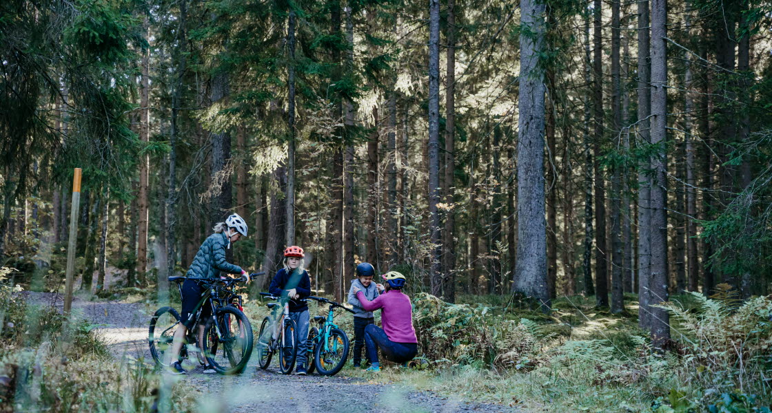 Mountain Bike at Lassalyckan