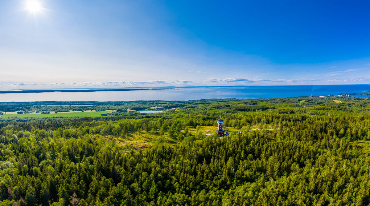 Aerial view of a lush Kinnekulle with Vänern in the background. You can also see Kinnekulle view tower.
