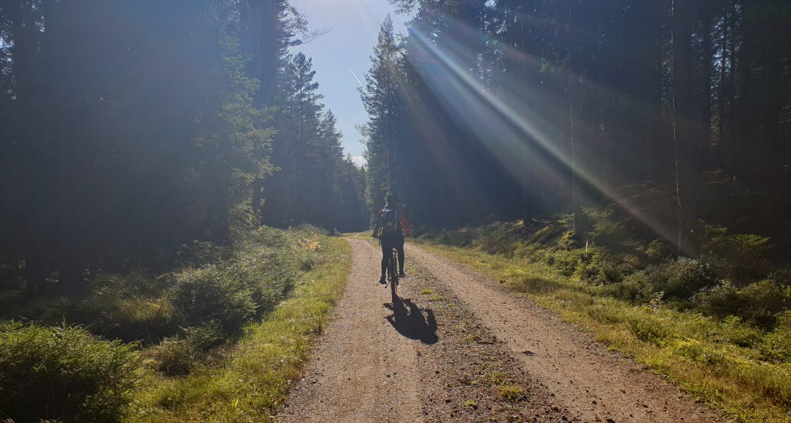 Cykeltur längs skogsvägarna i Hjo.