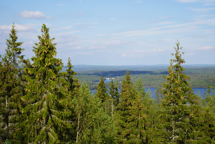 Utsikt över Lelången och mot Gustavsfors